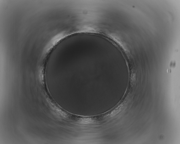 X0000096721455200802261642