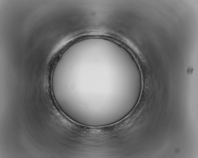 X0000096721456200802261642