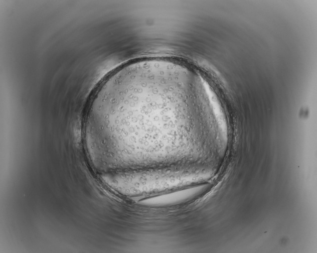 X0000096721457200802261642