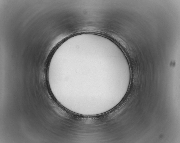 X0000096721458200802261642