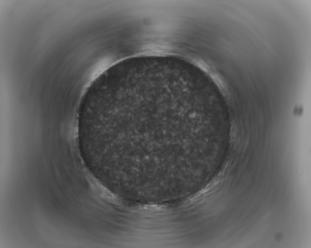 X0000096721459200802261642