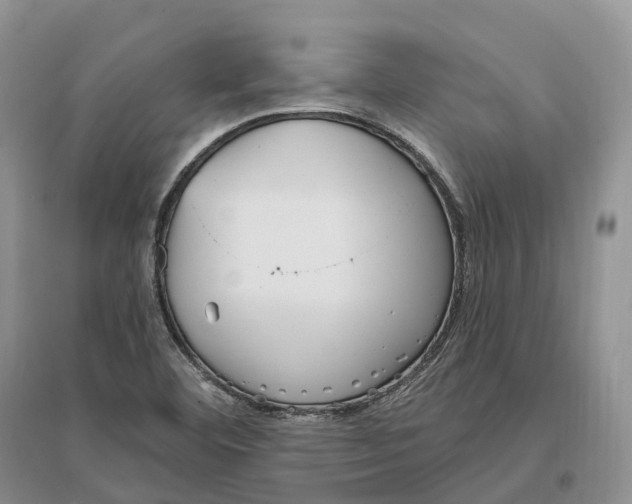 X0000096721460200802261642