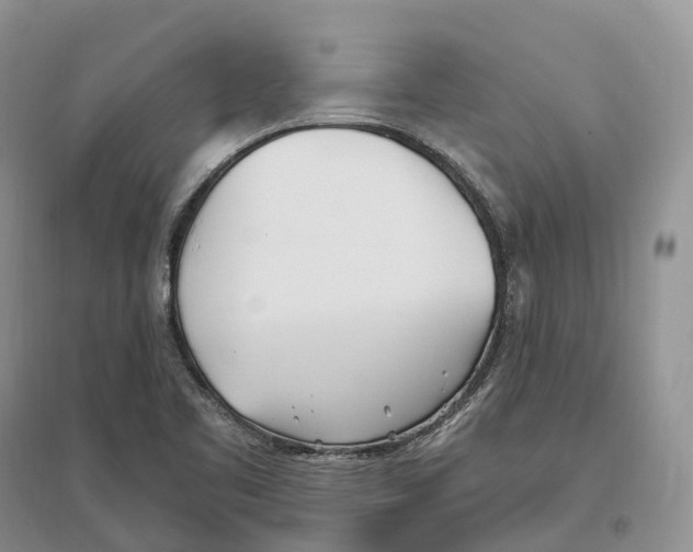 X0000096721461200802261642