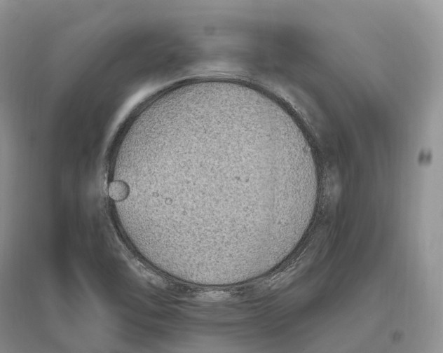 X0000096721462200802261642