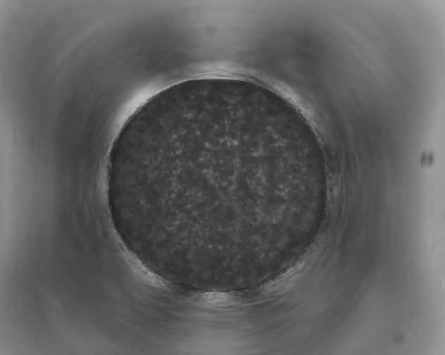 X0000096721463200802261642