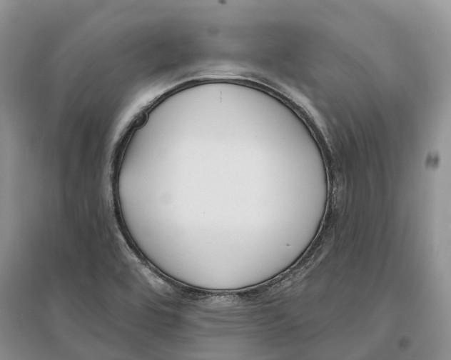 X0000096721464200802261642