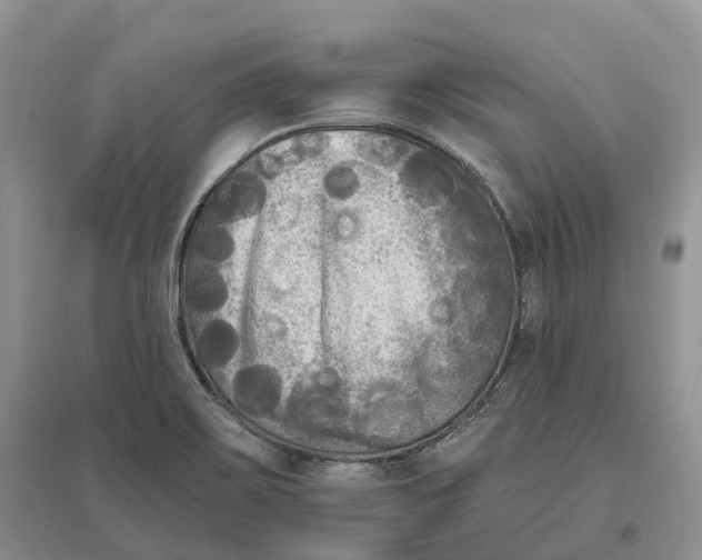 X0000096721467200802261642