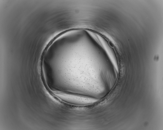 X0000096721468200802261642