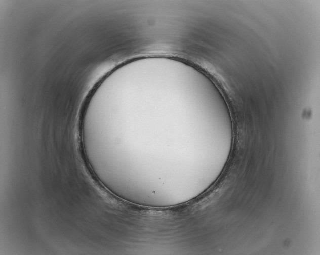 X0000096721469200802261642