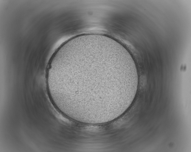 X0000096721470200802261642