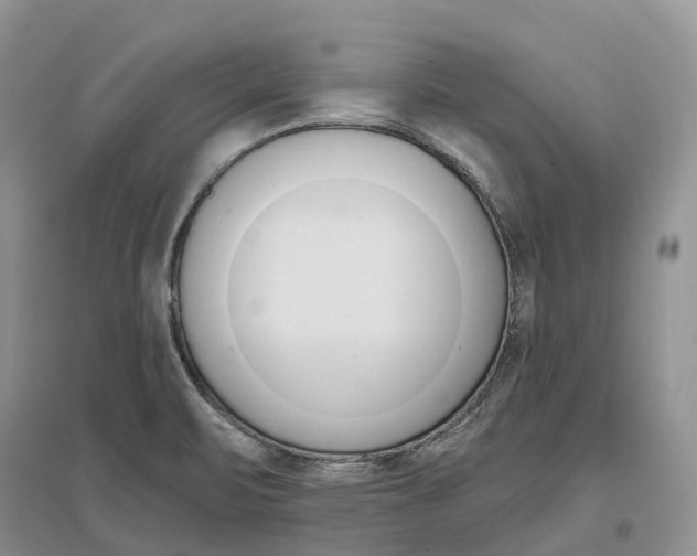 X0000096721471200802261641