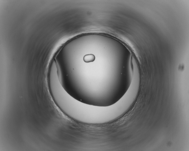 X0000096721472200802261641