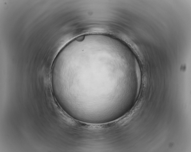 X0000096721473200802261641