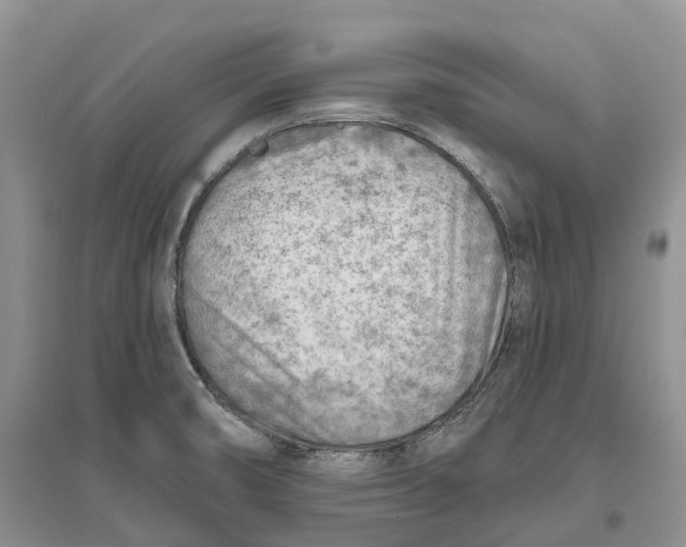 X0000096721474200802261641