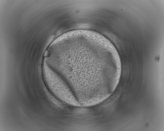 X0000096721475200802261641