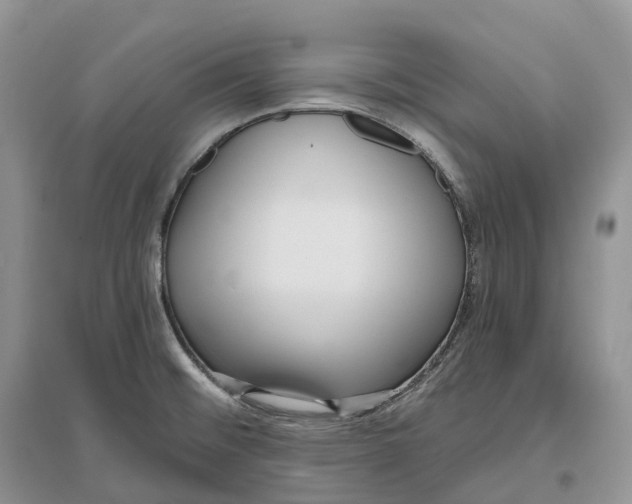 X0000096721476200802261641