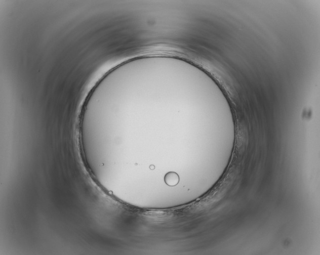 X0000096721478200802261641