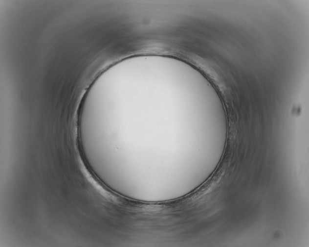 X0000096721479200802261641