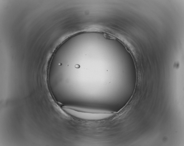 X0000096721480200802261641