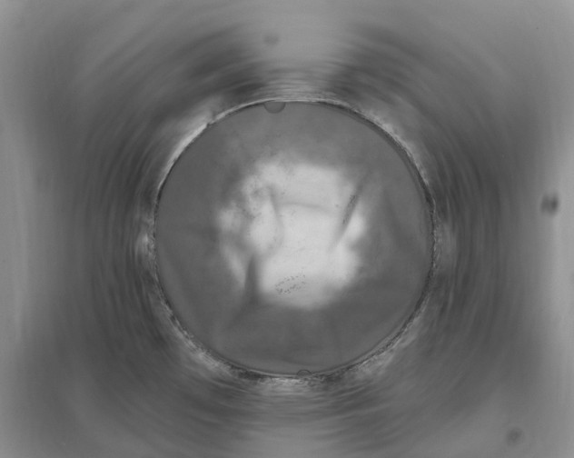 X0000096721481200802261641