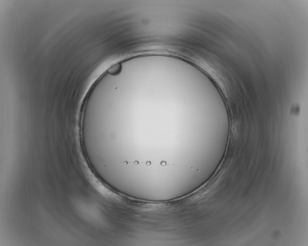 X0000096721482200802261641