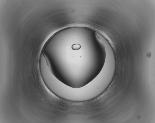 X0000096721484200802261641