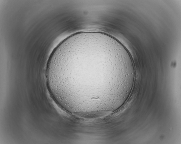 X0000096721485200802261641