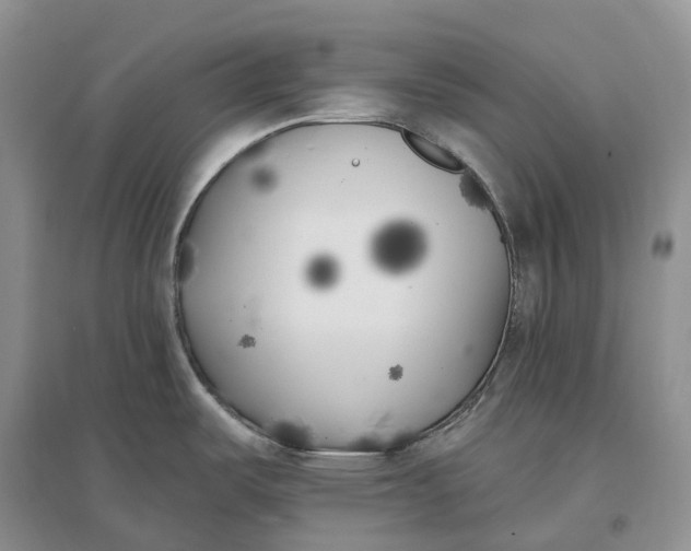 X0000096721487200802261641