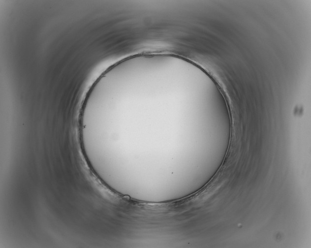 X0000096721488200802261641