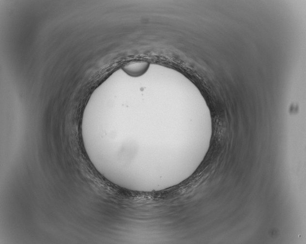 X0000096721489200802261640