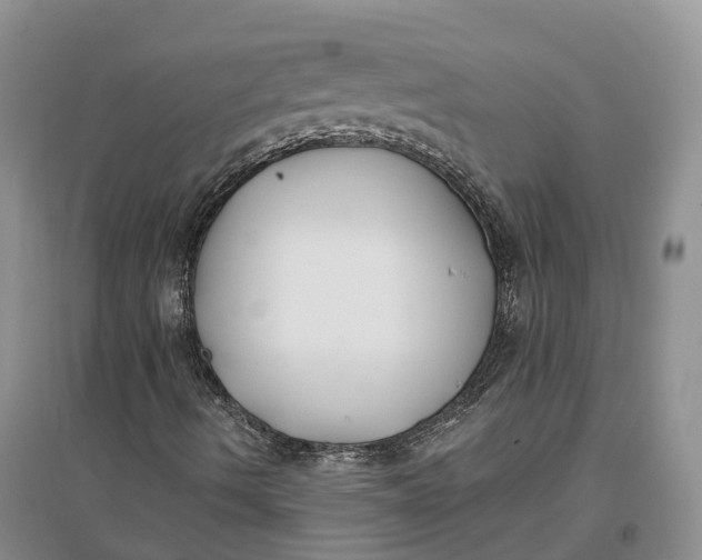 X0000096721490200802261640