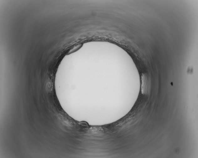 X0000096721491200802261641