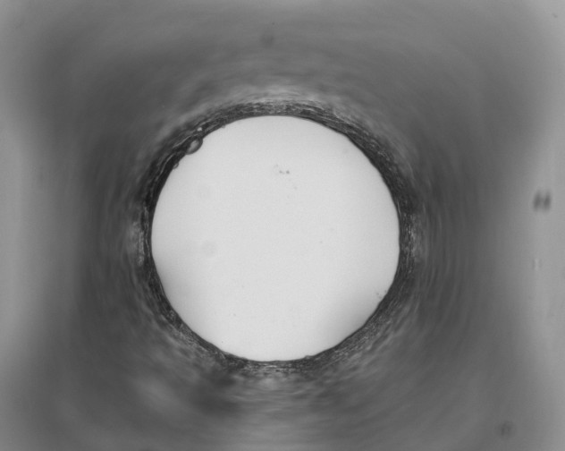 X0000096721493200802261641