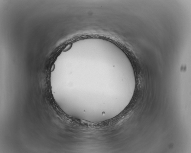 X0000096721494200802261641