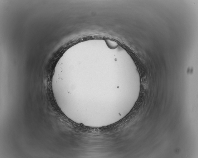 X0000096721495200802261641