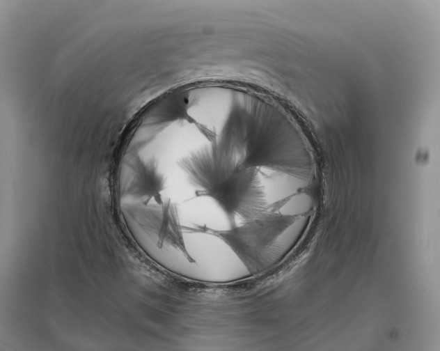 X0000096721497200802261641