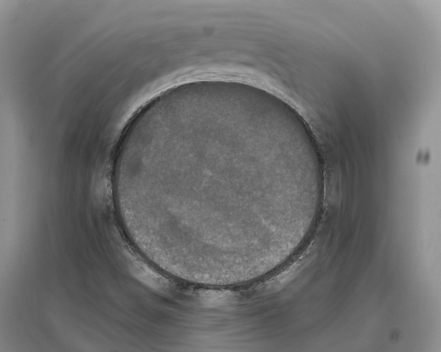 X0000096721498200802261641