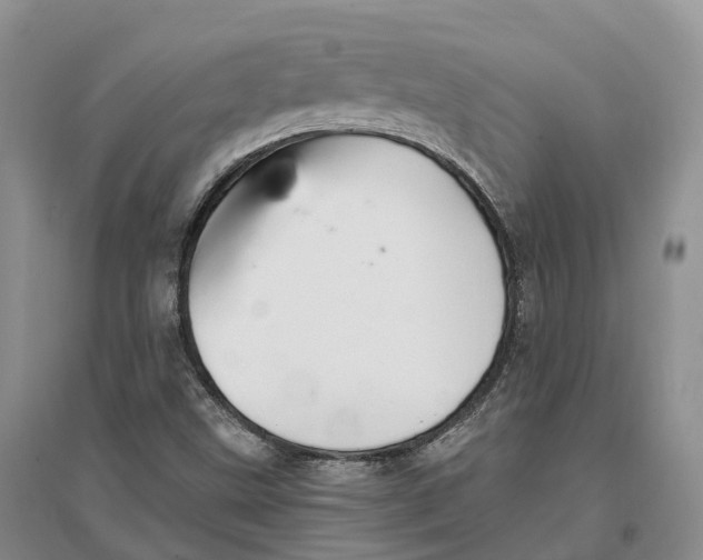 X0000096721499200802261641