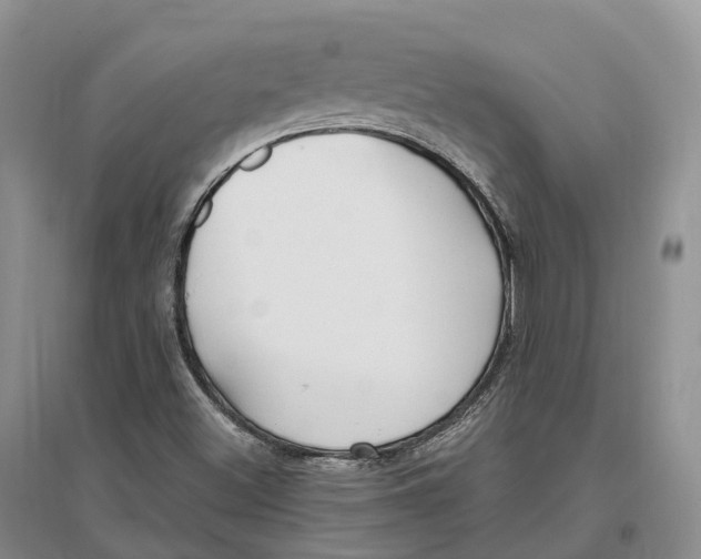 X0000096721500200802261641