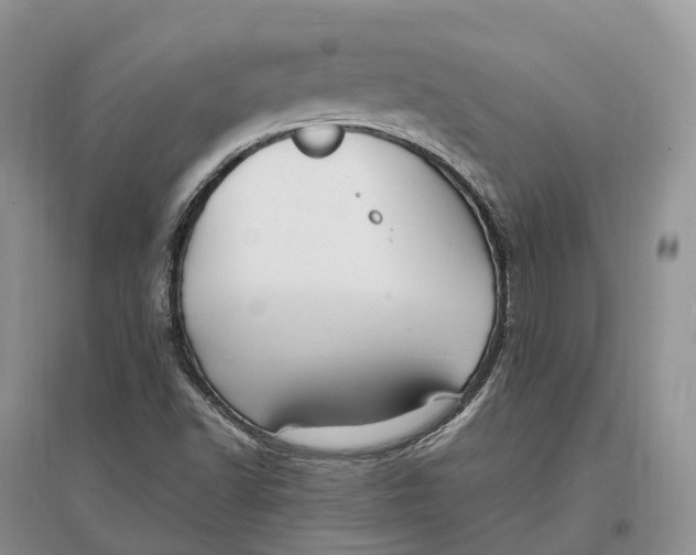 X0000096721502200802261641