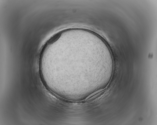 X0000096721504200802261641