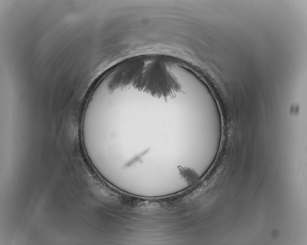 X0000096721505200802261641