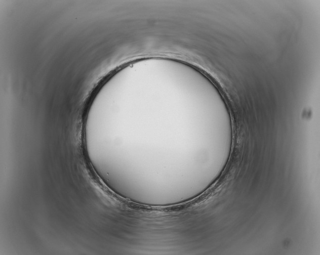 X0000096721507200802261641