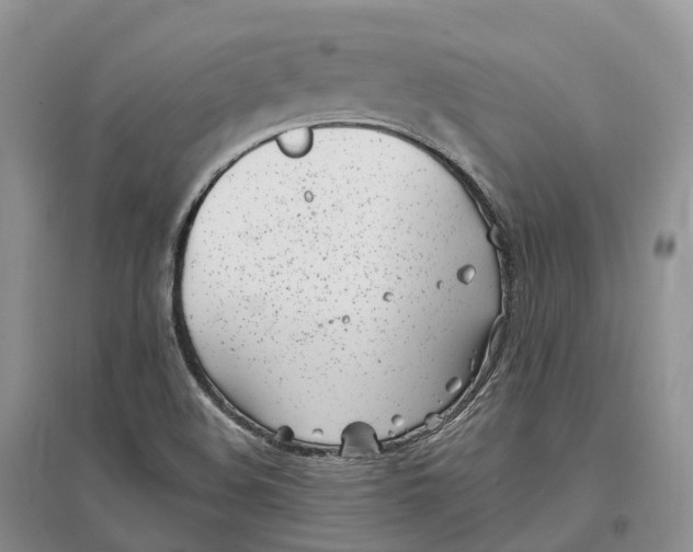 X0000096721508200802261641