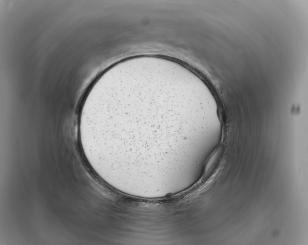 X0000096721509200802261641