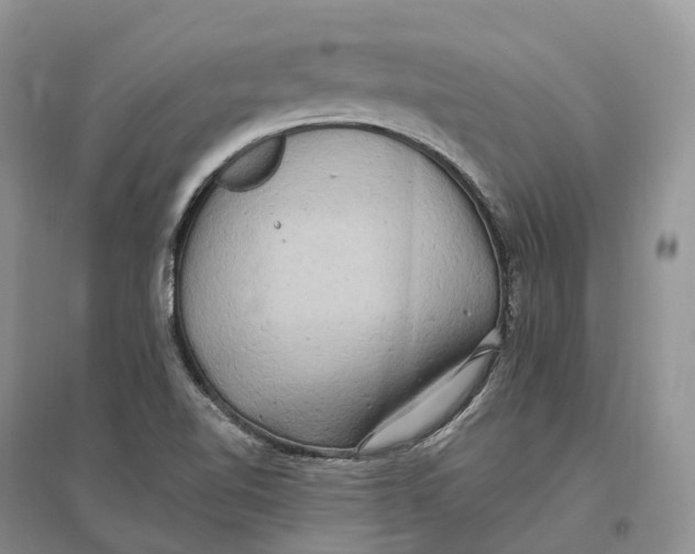 X0000096721510200802261641