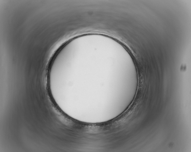 X0000096721511200802261641