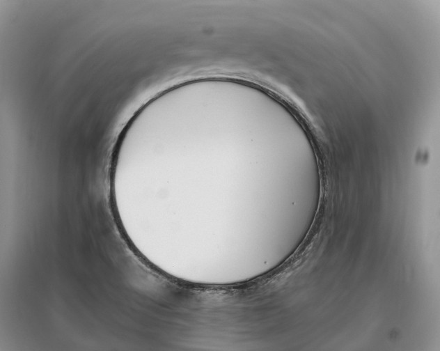 X0000096721512200802261641