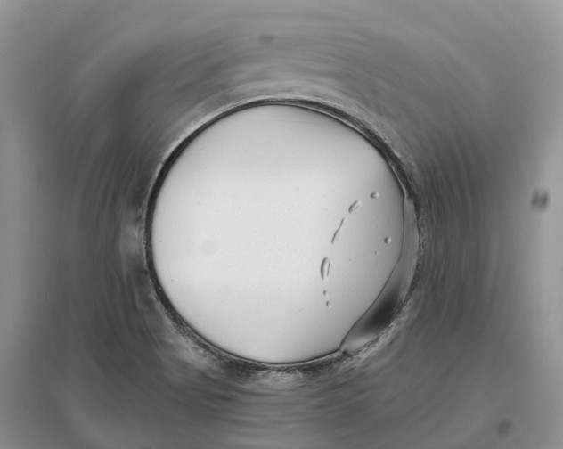 X0000096721513200802261641