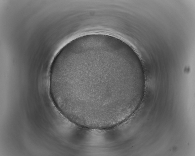 X0000096721514200802261641